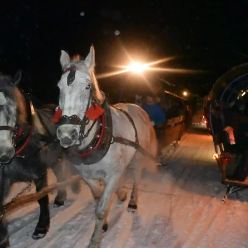KULIG w Beskidach na bogato -Istebna+Wisła