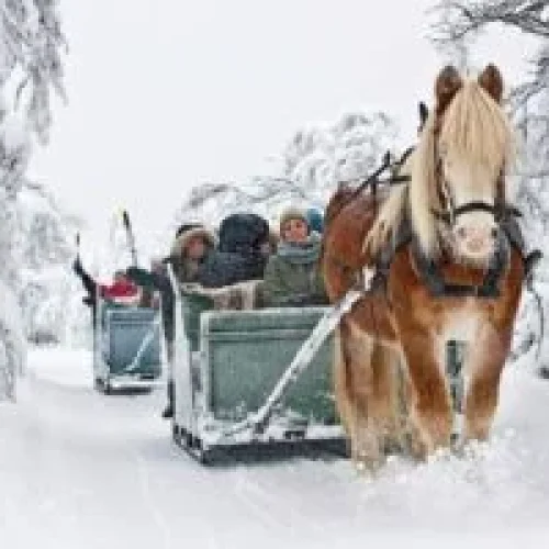 KULIG w Beskidach na bogato -Istebna+Wisła