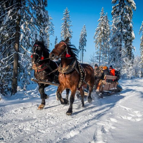 KULIG w Beskidach na bogato -Istebna+Wisła