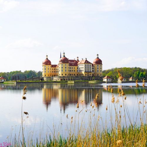 Perły Saksonii- MIŚNIA I MORITZBURG